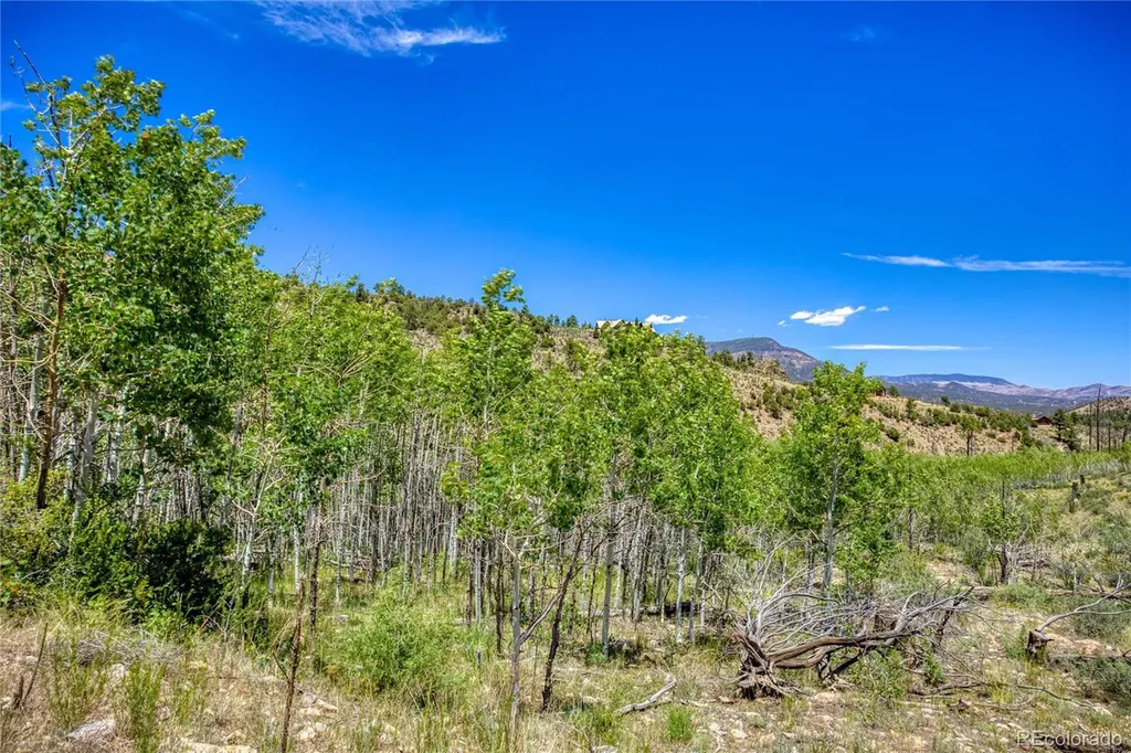 302 Rickel Circle South Fork CO 81154