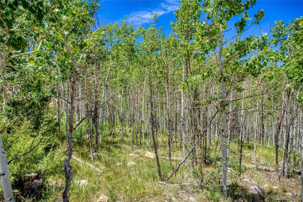302 Rickel Circle South Fork CO 81154