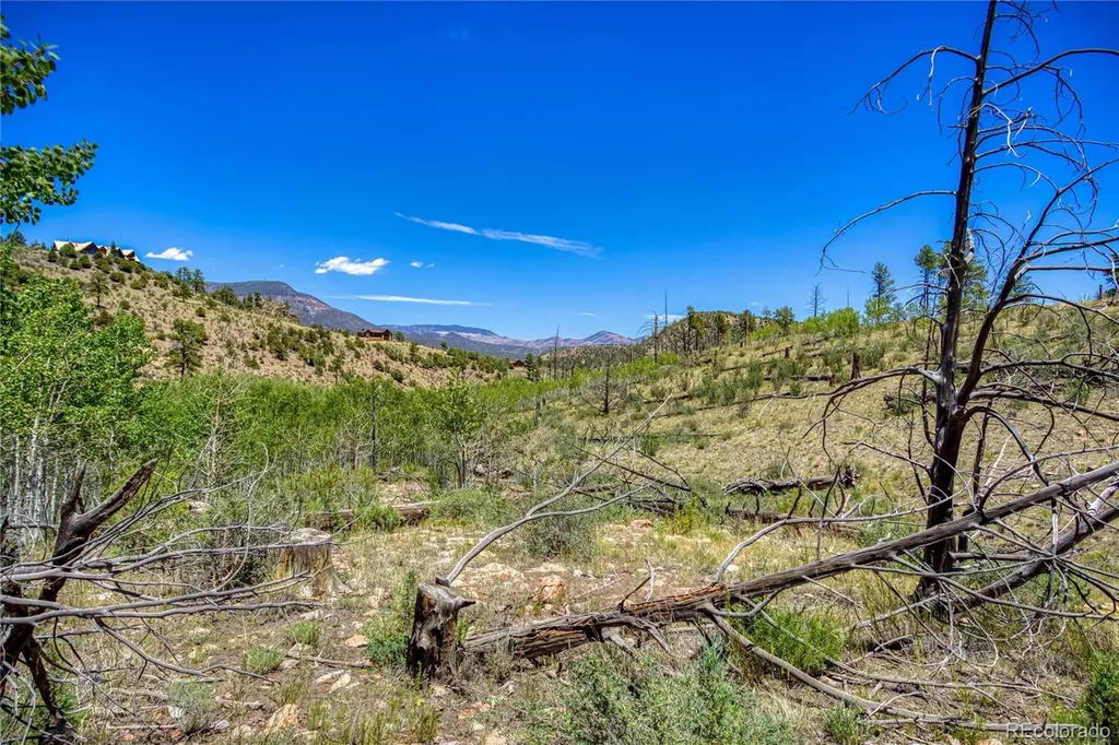 302 Rickel Circle South Fork CO 81154