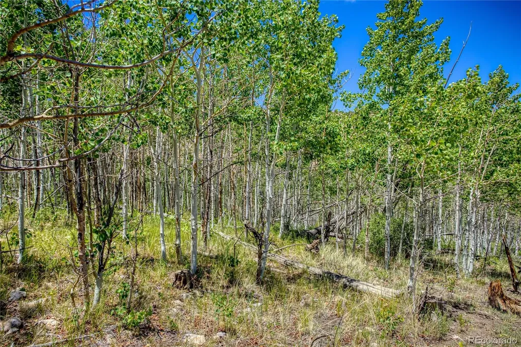 302 Rickel Circle South Fork CO 81154