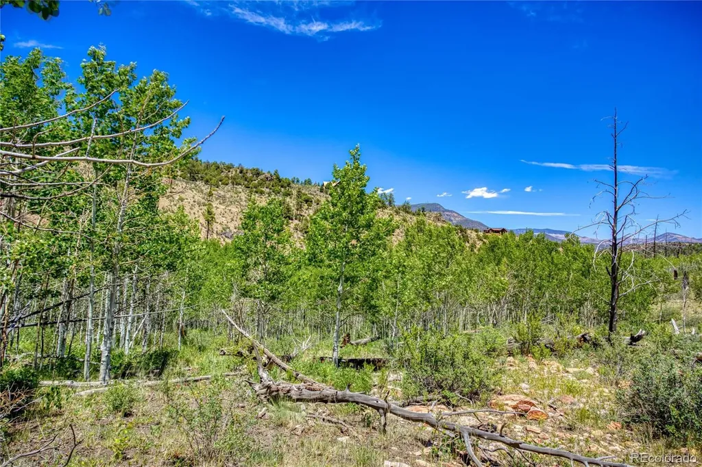 302 Rickel Circle South Fork CO 81154