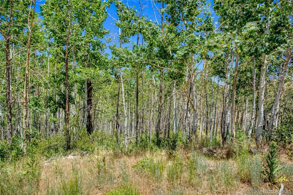 302 Rickel Circle South Fork CO 81154