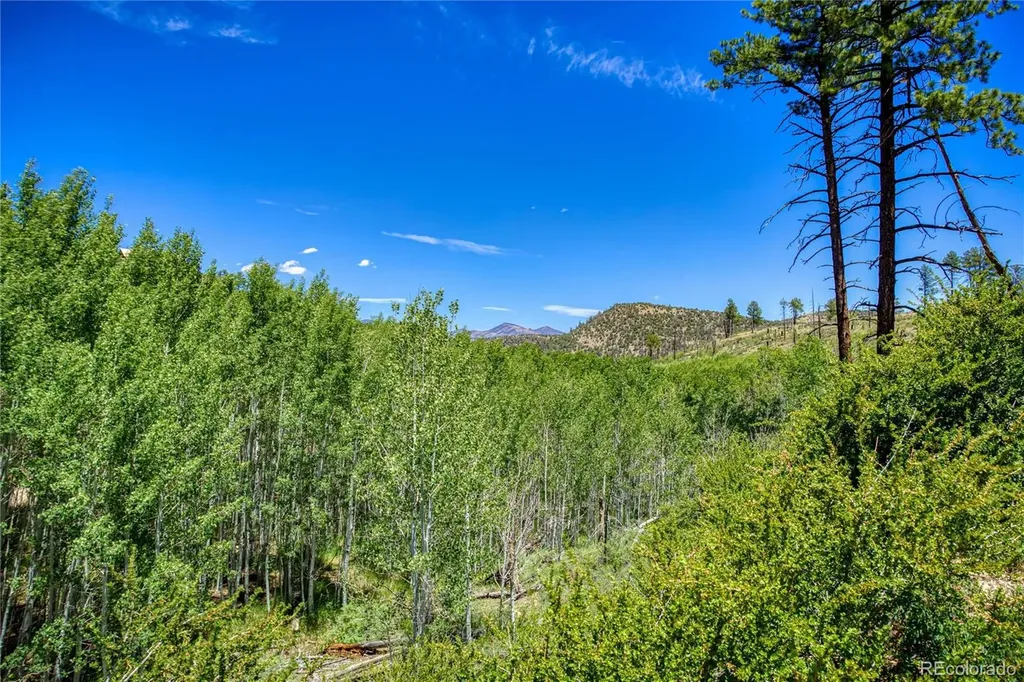 302 Rickel Circle South Fork CO 81154