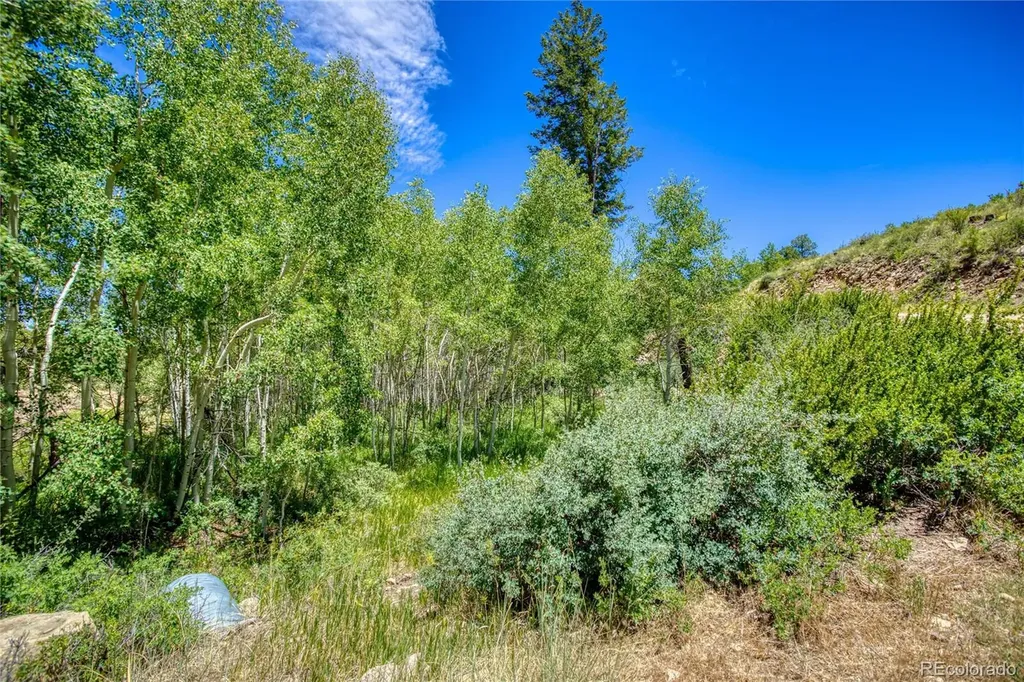 302 Rickel Circle South Fork CO 81154