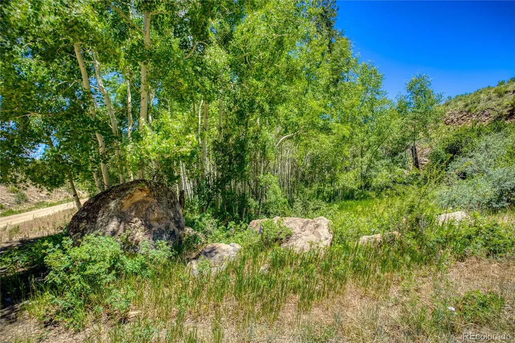 302 Rickel Circle South Fork CO 81154