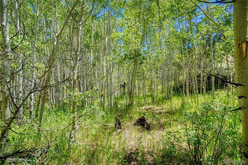 302 Rickel Circle South Fork CO 81154