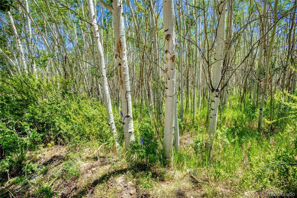 302 Rickel Circle South Fork CO 81154