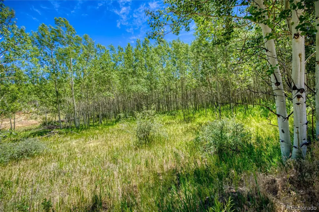 302 Rickel Circle South Fork CO 81154