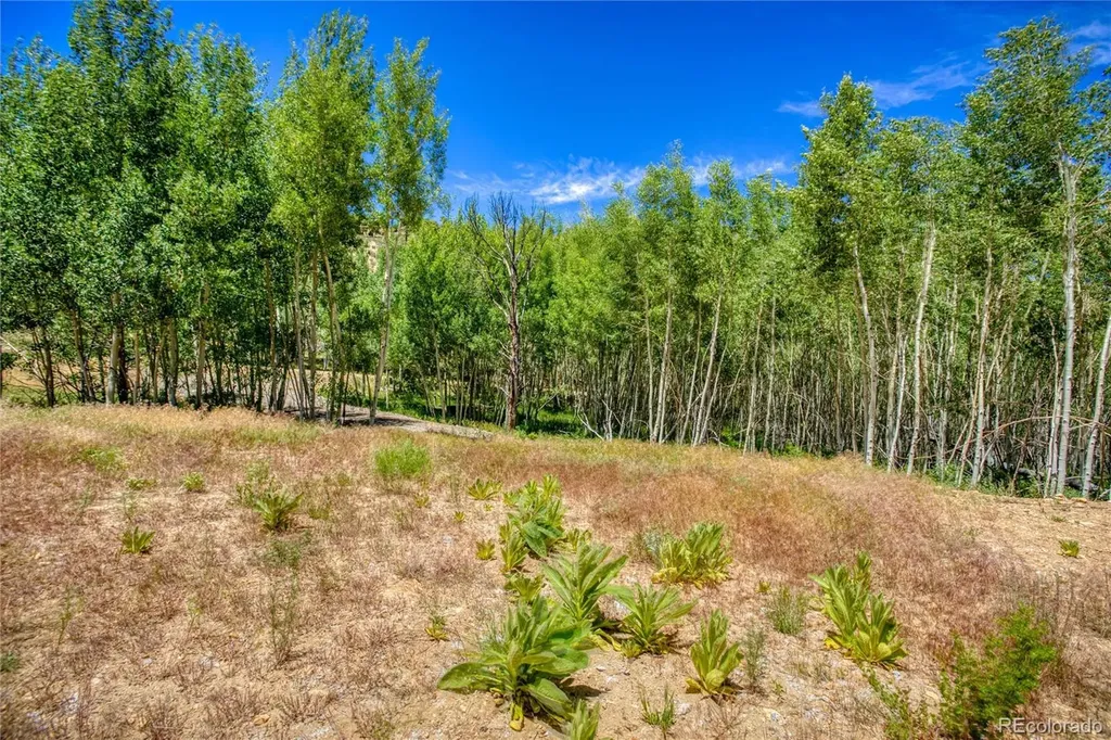 302 Rickel Circle South Fork CO 81154