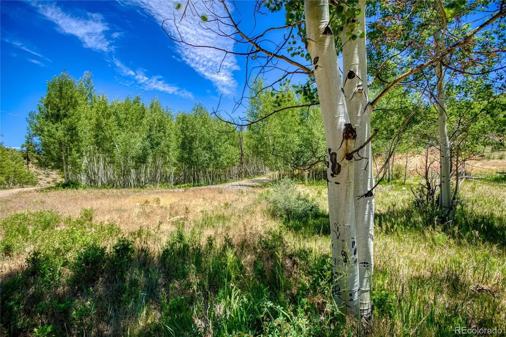 302 Rickel Circle South Fork CO 81154