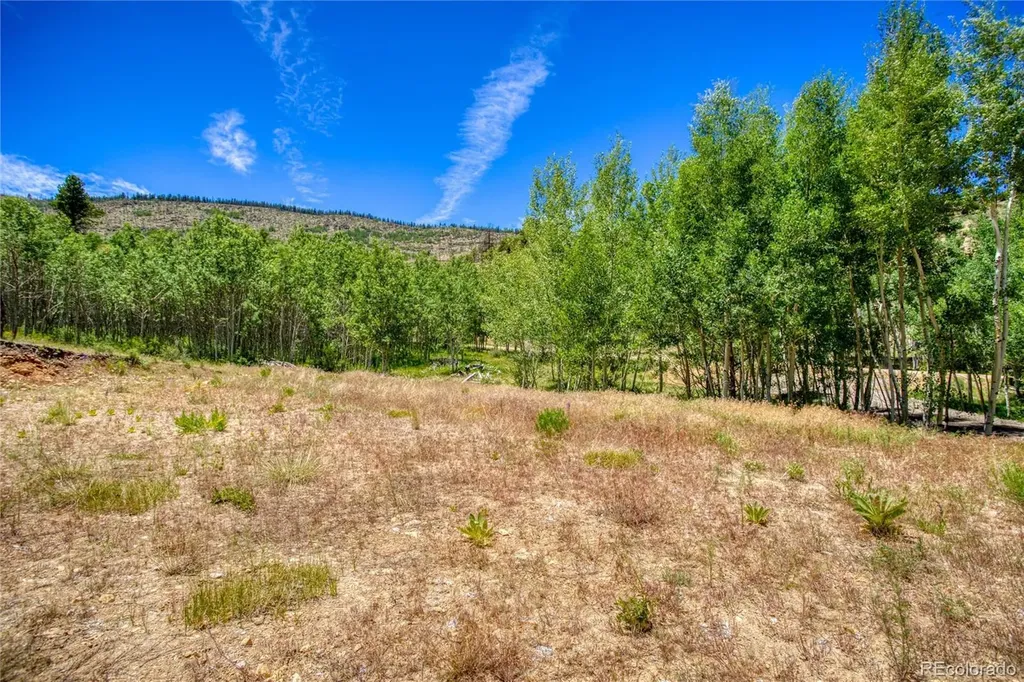 302 Rickel Circle South Fork CO 81154