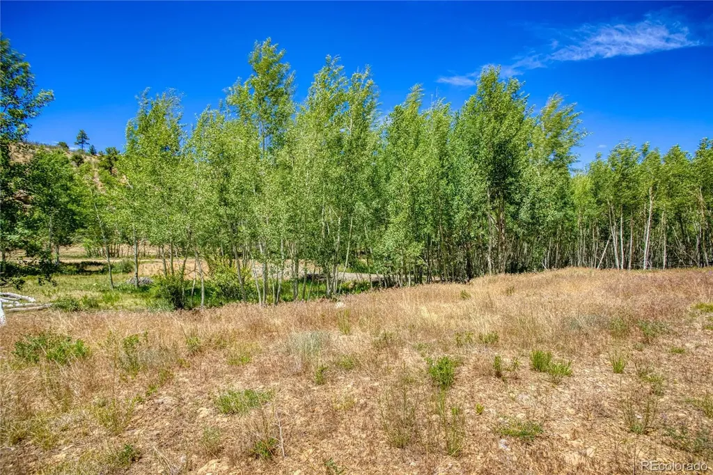 302 Rickel Circle South Fork CO 81154