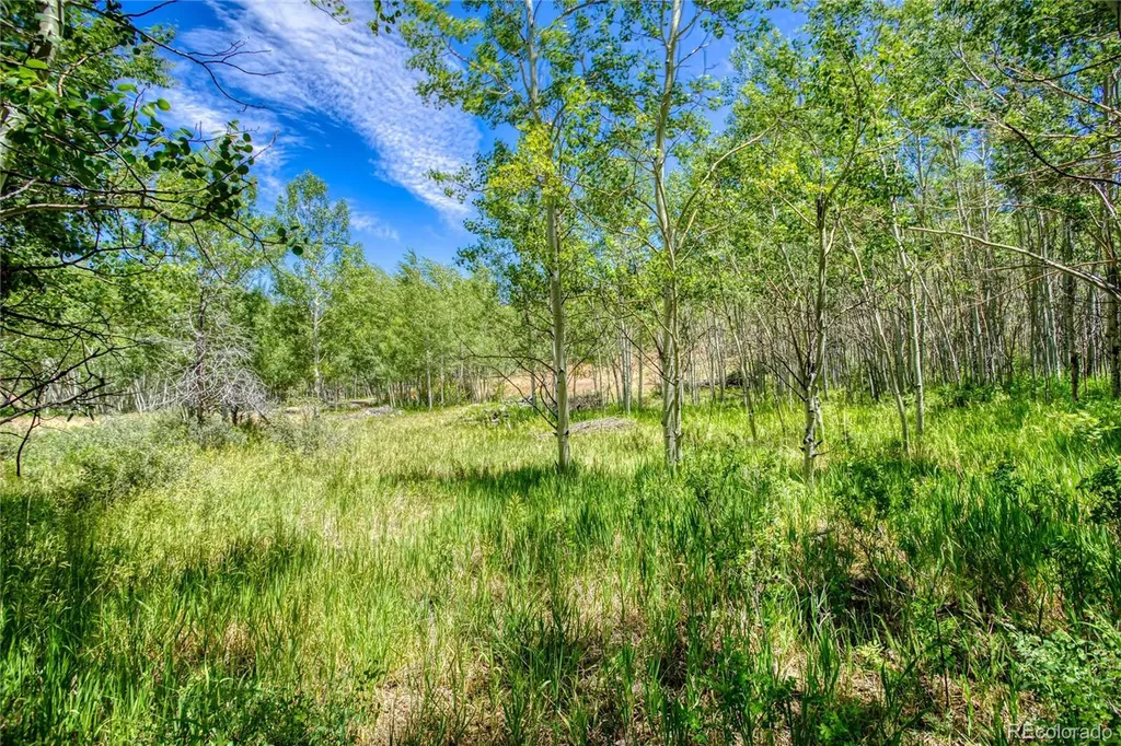 302 Rickel Circle South Fork CO 81154