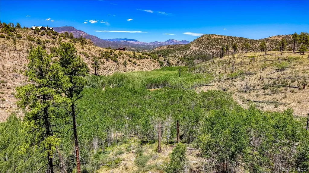 302 Rickel Circle South Fork CO 81154