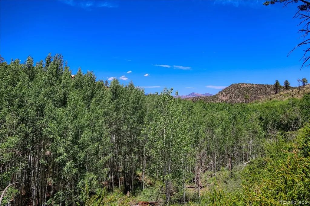 302 Rickel Circle South Fork CO 81154