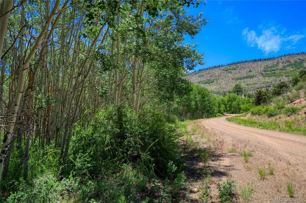 302 Rickel Circle South Fork CO 81154