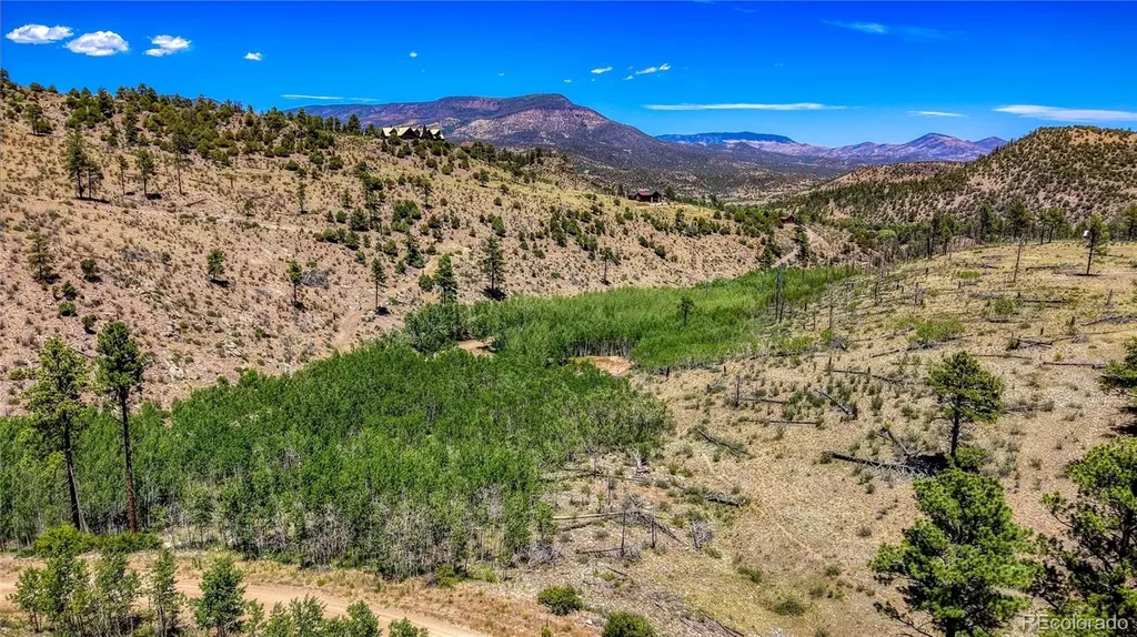 302 Rickel Circle South Fork CO 81154