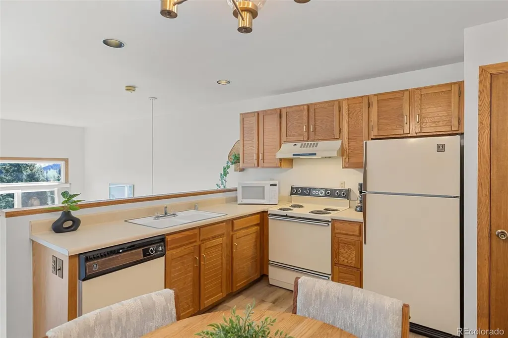 10000 Ryan Gulch Road Silverthorne CO 80498