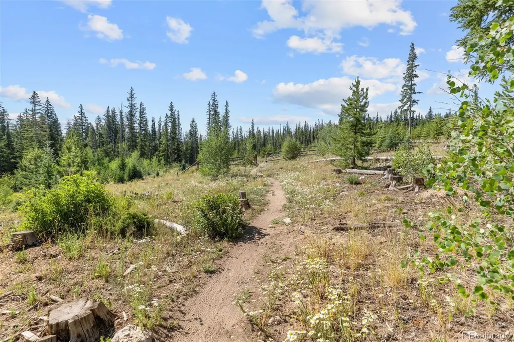 10000 Ryan Gulch Road Silverthorne CO 80498