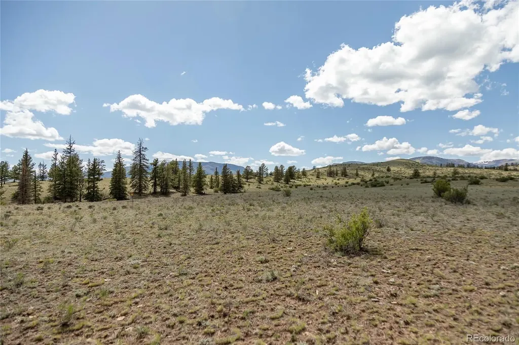 Tbd Hwy 149 (B) Creede CO 81130