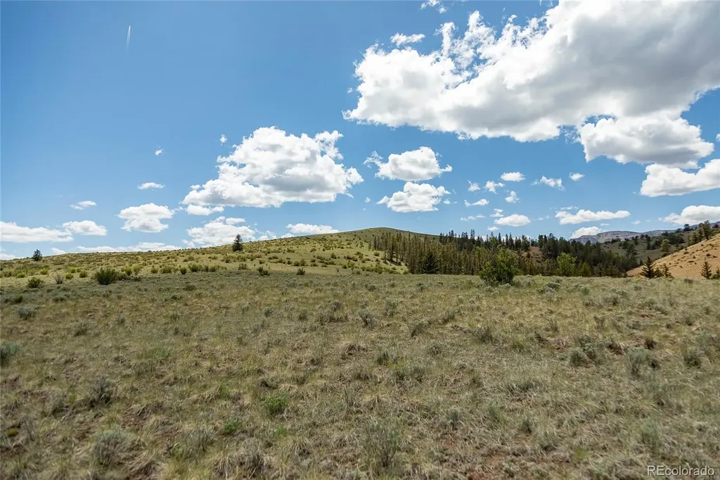 Tbd Hwy 149 (B) Creede CO 81130