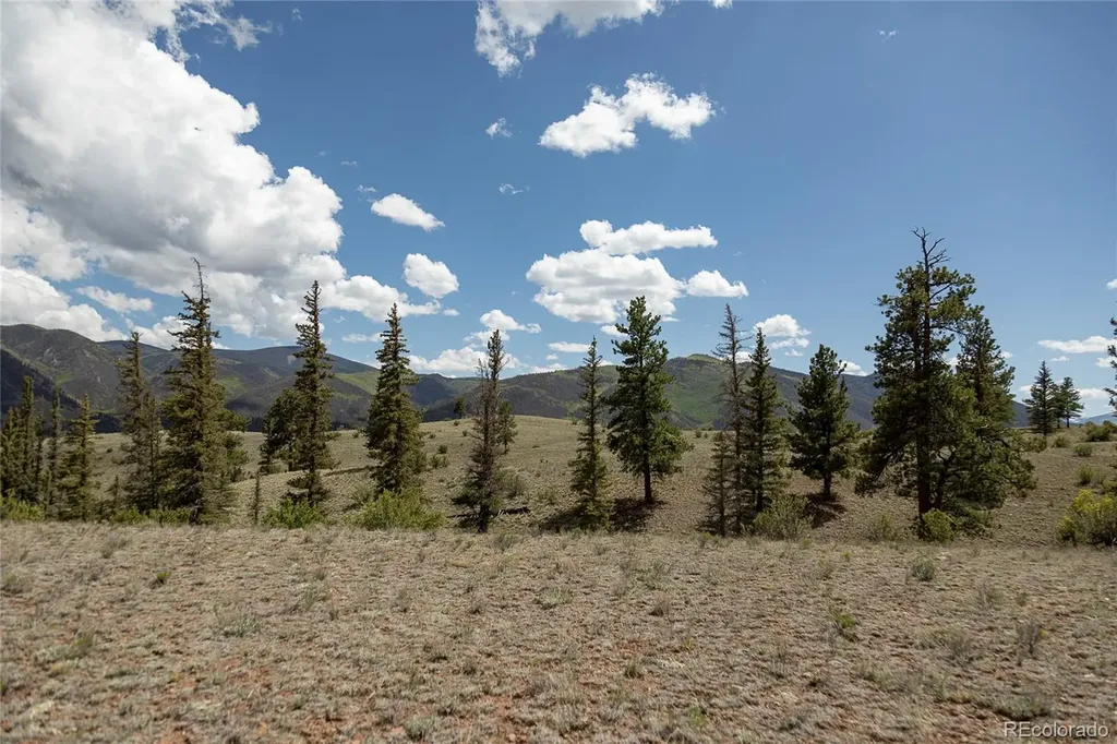 Tbd Hwy 149 (B) Creede CO 81130