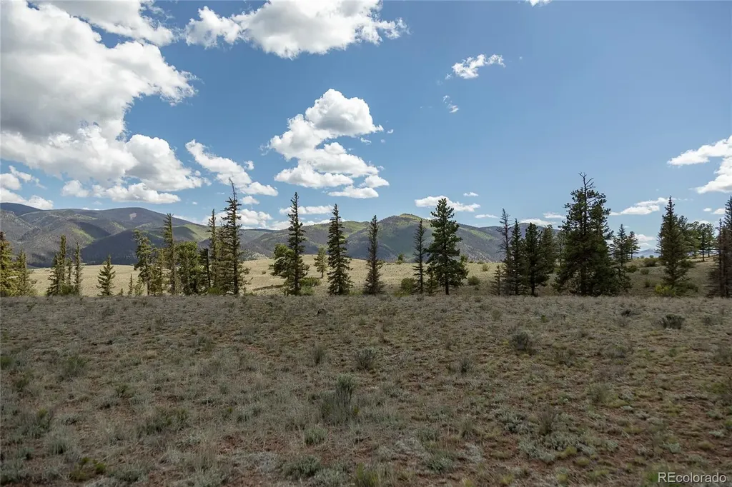 Tbd Hwy 149 (B) Creede CO 81130
