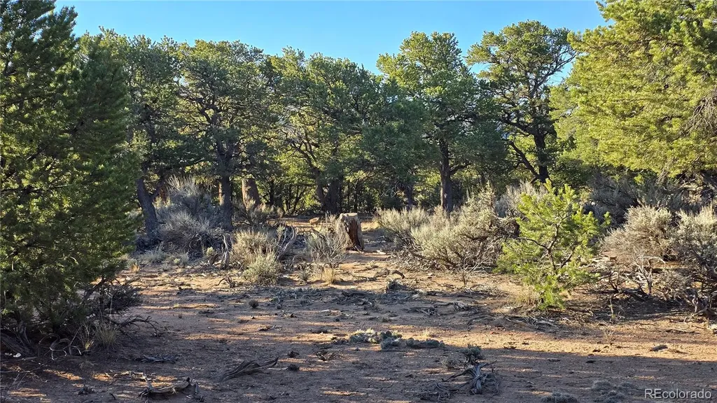 Lot 7313 Butcher Road Fort Garland CO 81133