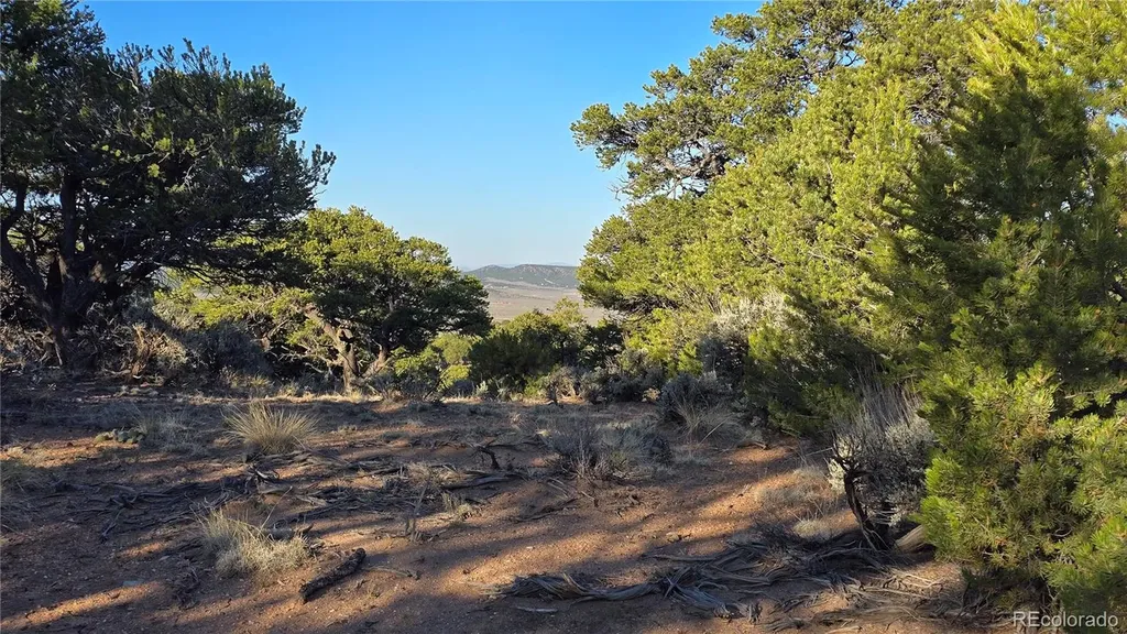 Lot 7313 Butcher Road Fort Garland CO 81133