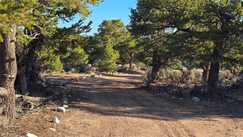 Lot 7313 Butcher Road Fort Garland CO 81133