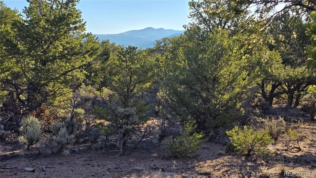 Lot 7313 Butcher Road Fort Garland CO 81133