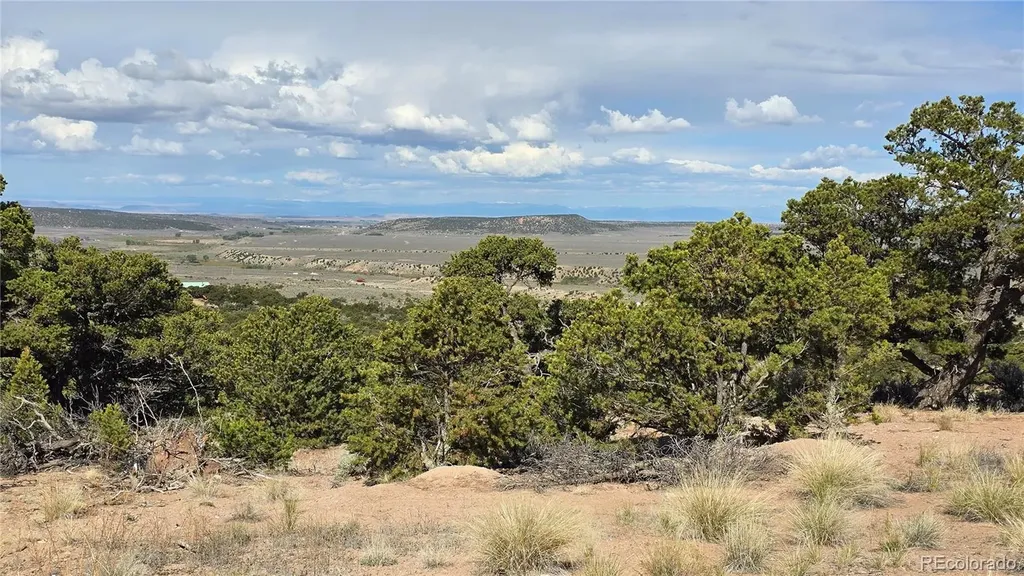 Lot 7313 Butcher Road Fort Garland CO 81133