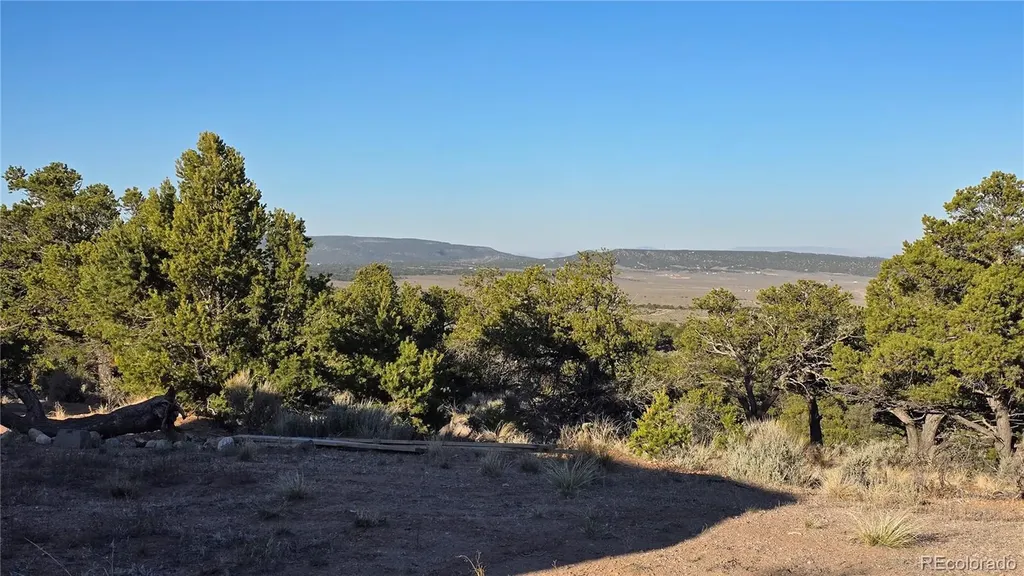 Lot 7313 Butcher Road Fort Garland CO 81133
