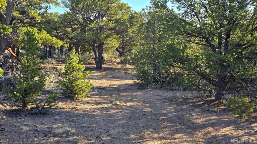 Lot 7313 Butcher Road Fort Garland CO 81133