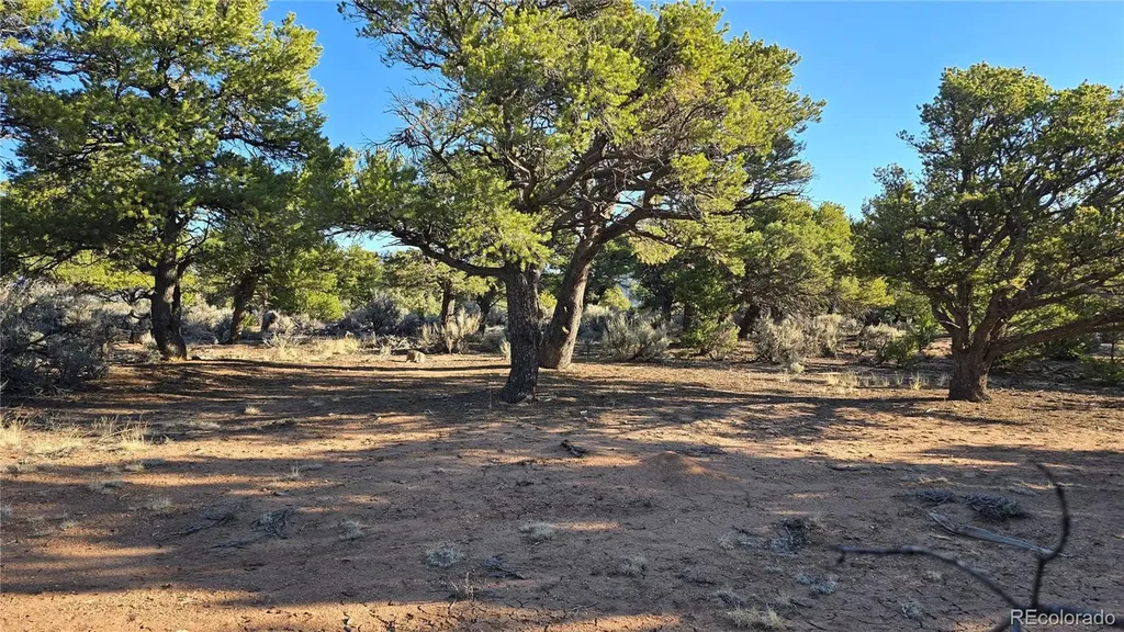 Lot 7313 Butcher Road Fort Garland CO 81133