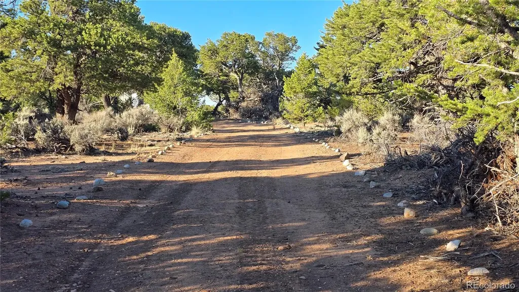 Lot 7313 Butcher Road Fort Garland CO 81133
