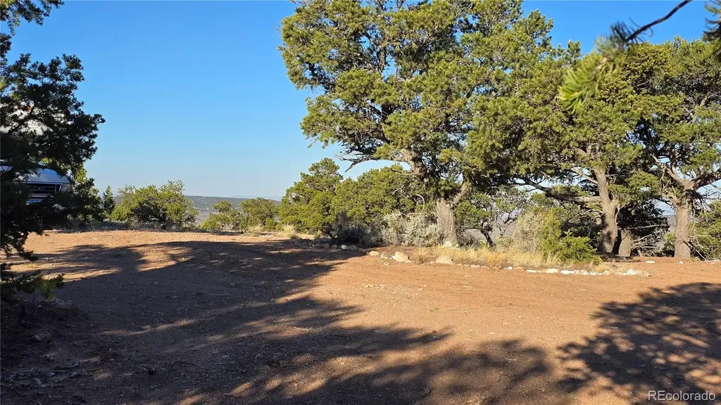 Lot 7313 Butcher Road Fort Garland CO 81133
