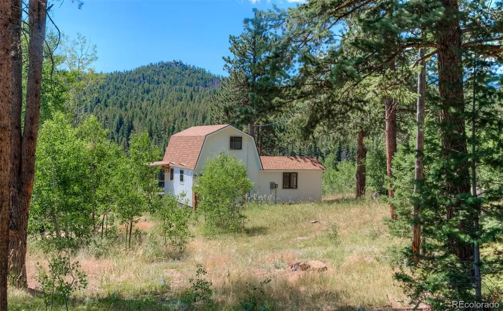1820 Lazy Z Road Nederland CO 80466