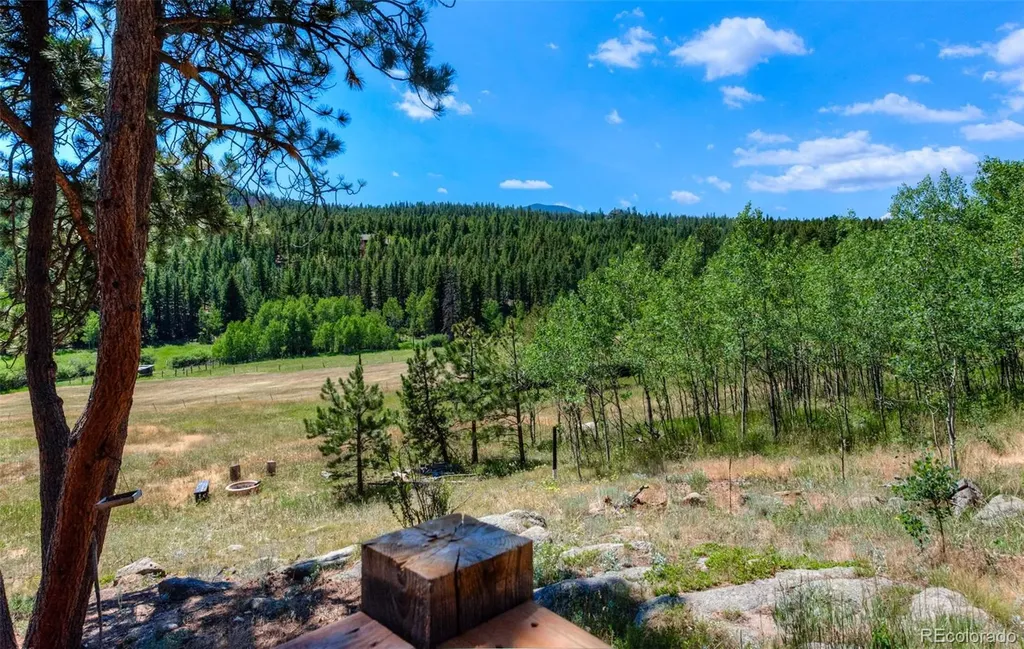 1820 Lazy Z Road Nederland CO 80466
