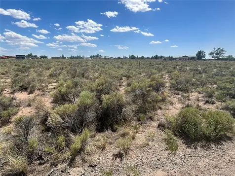 223 Biscay Lane Moffat CO 81143
