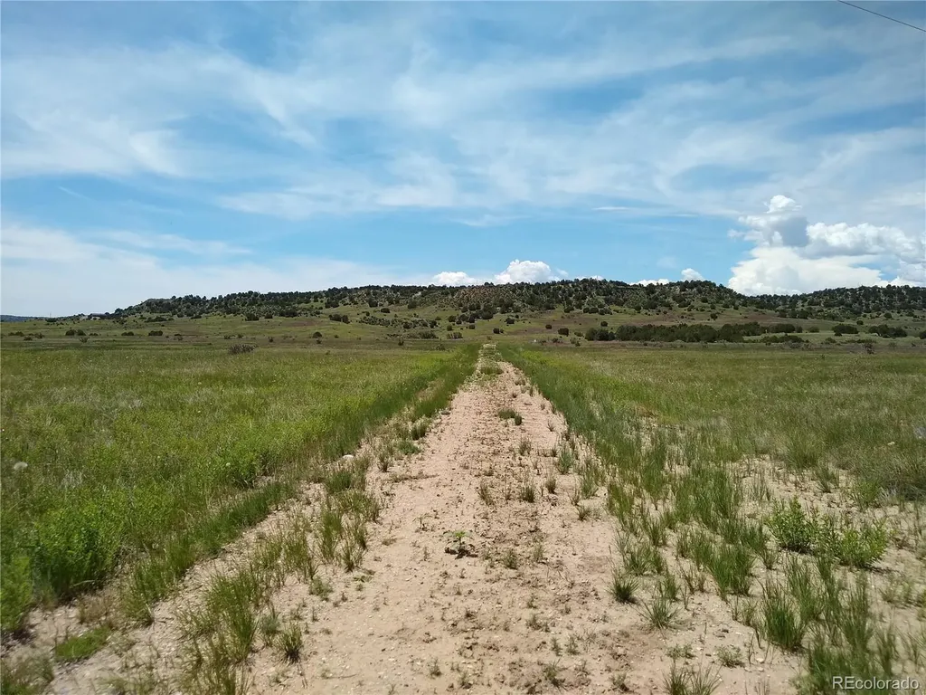 0 County 113 Lane Rye CO 81069