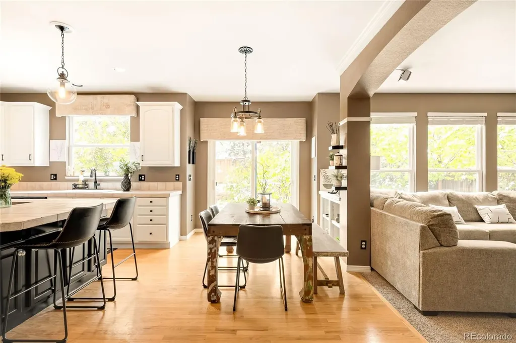 869 Shadowstone Drive Highlands Ranch CO 80129