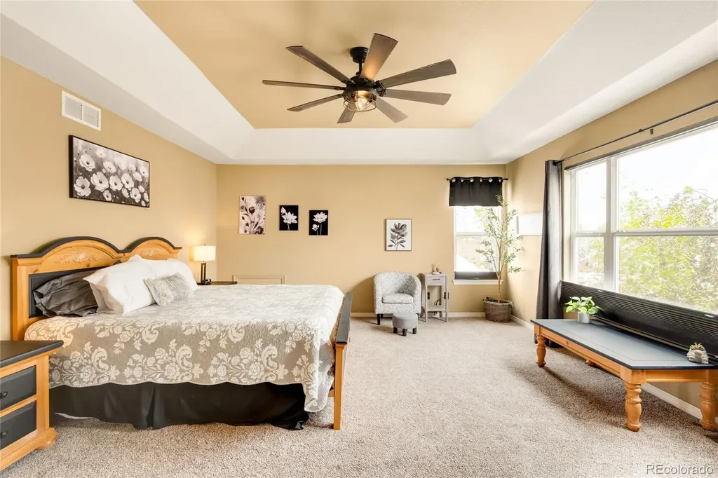 869 Shadowstone Drive Highlands Ranch CO 80129