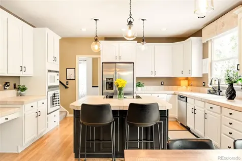 869 Shadowstone Drive Highlands Ranch CO 80129