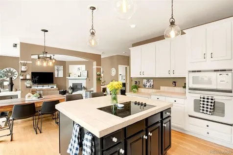 869 Shadowstone Drive Highlands Ranch CO 80129