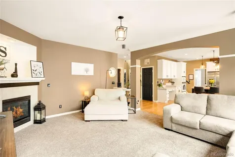 869 Shadowstone Drive Highlands Ranch CO 80129