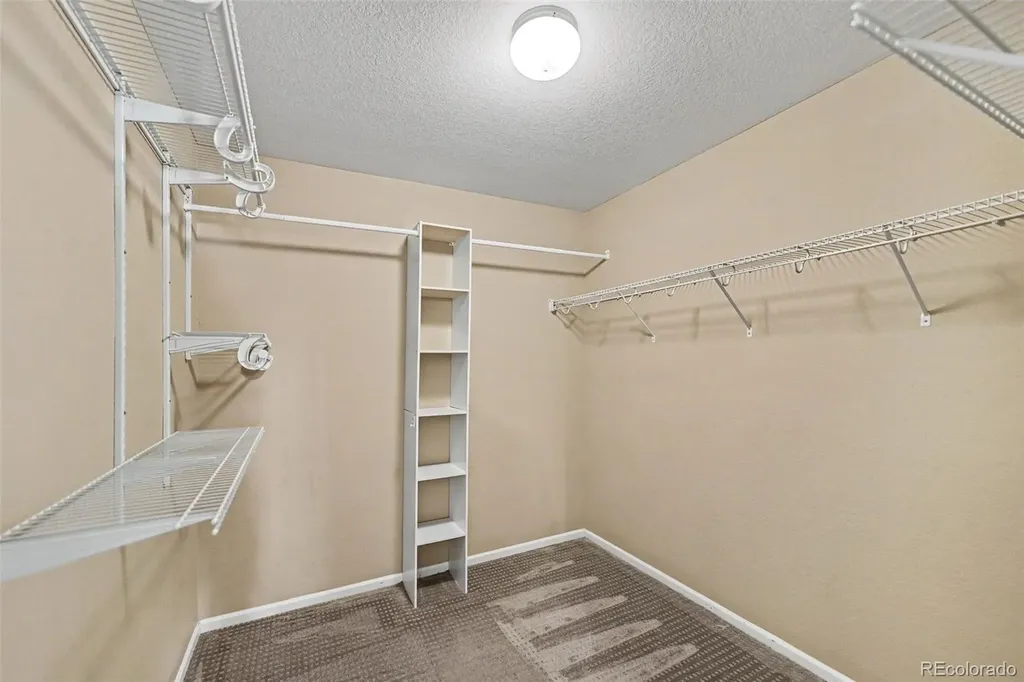 5510 Spring Ridge Trail Castle Rock CO 80104
