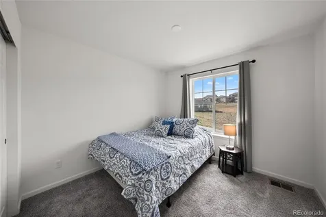 3922 White Rose Street Castle Rock CO 80108