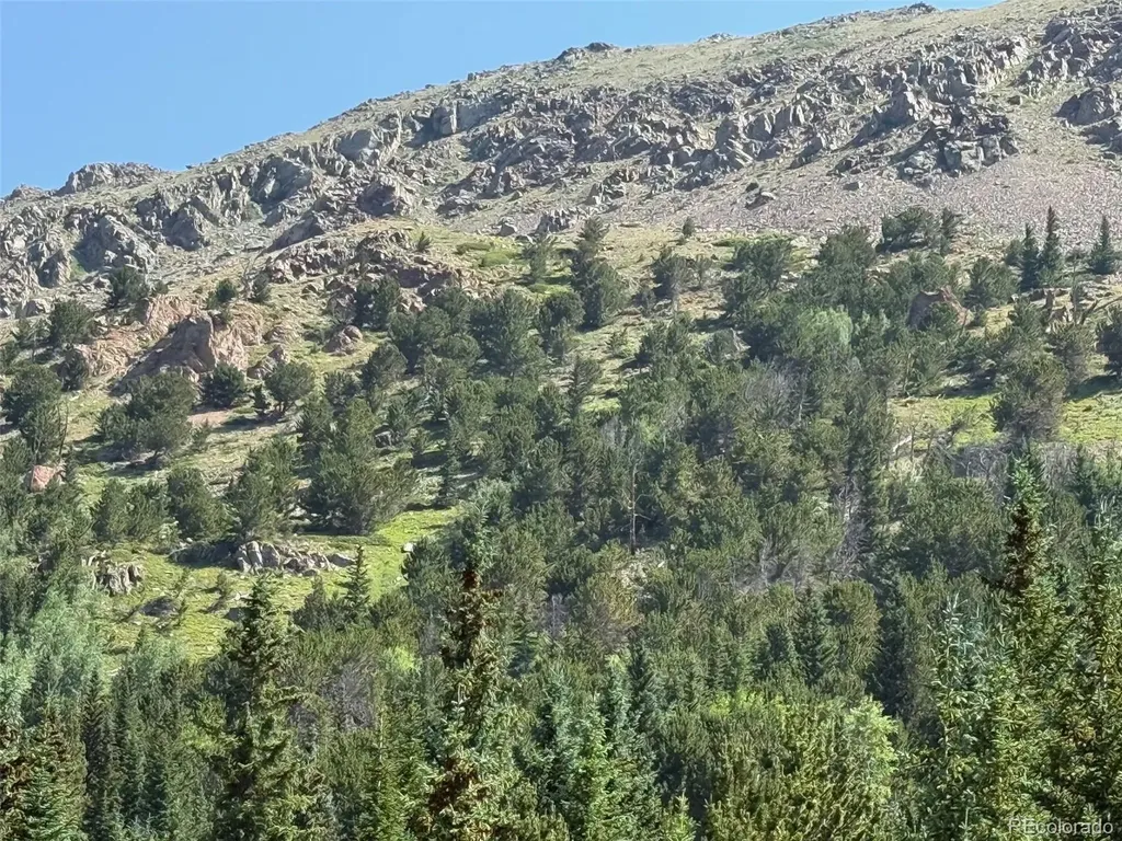 3800 Fourth Of July Road Nederland CO 80216