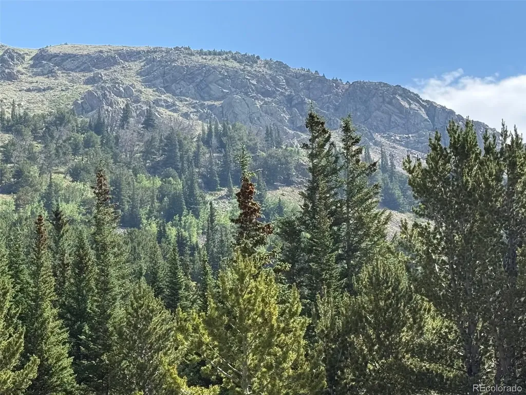 3800 Fourth Of July Road Nederland CO 80216